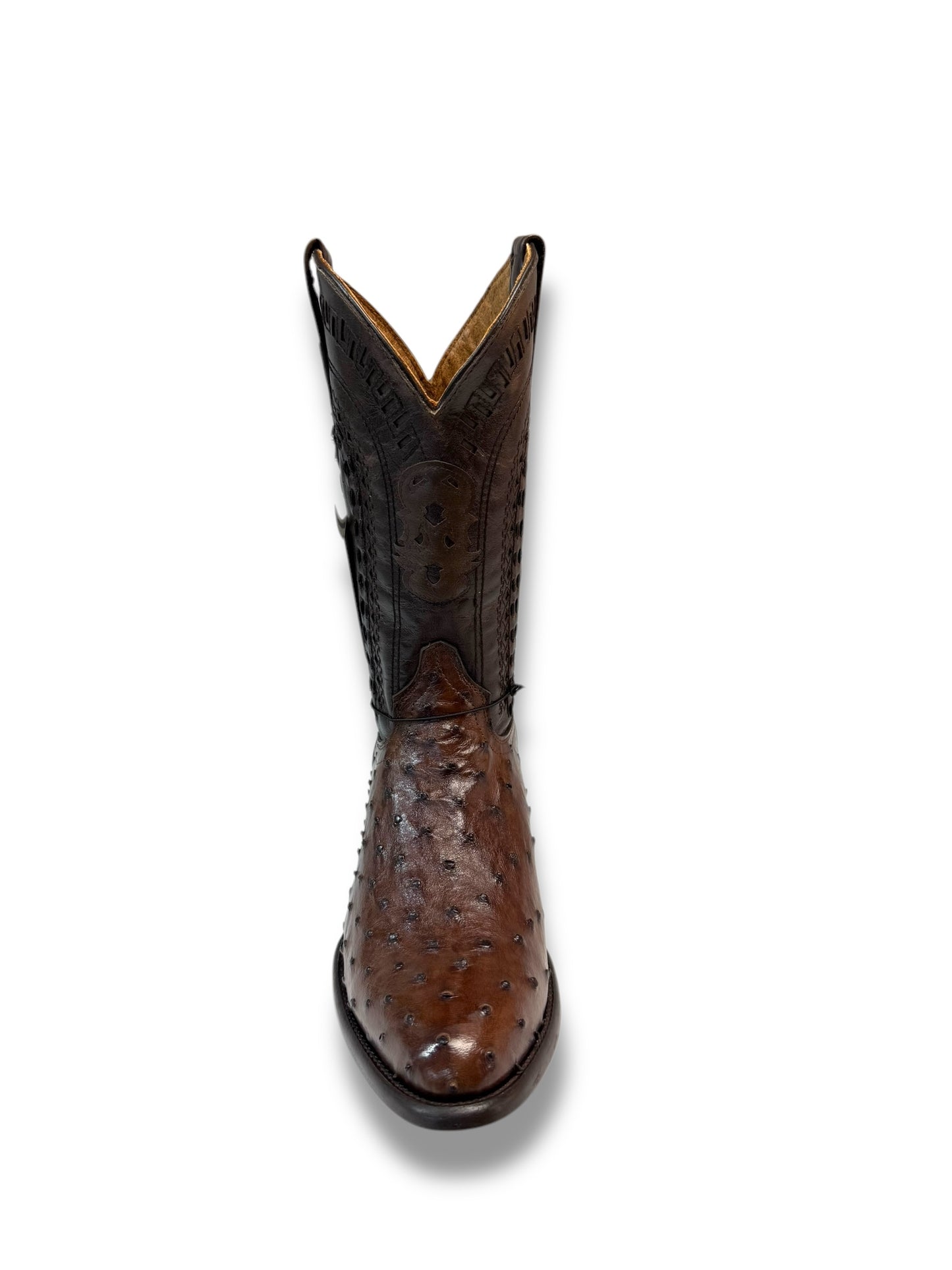 Ranchers Ostrich Kango CC